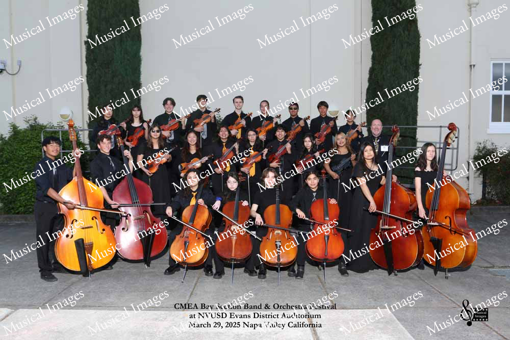 Musical Images